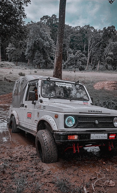 心理素質方 心理素質方