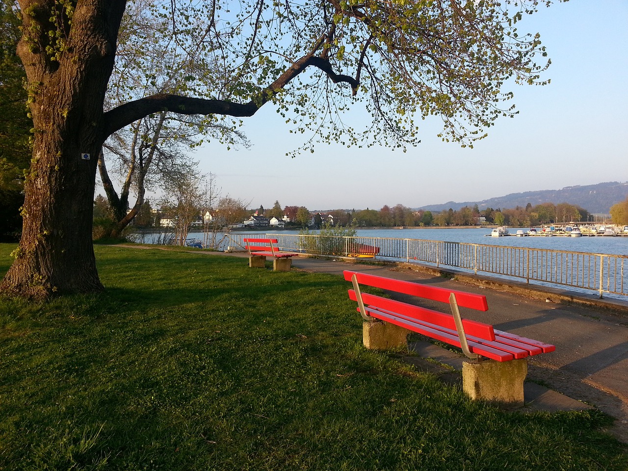 及多样化的 及多样化的