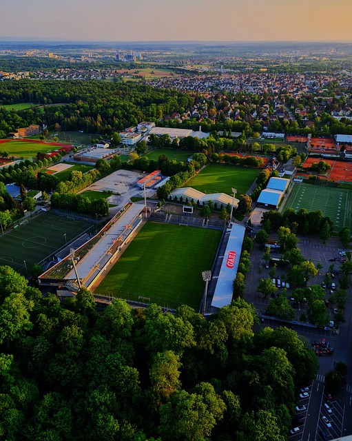 不仅提高了 不仅提高了