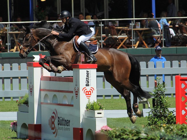 队职能的深 队职能的深