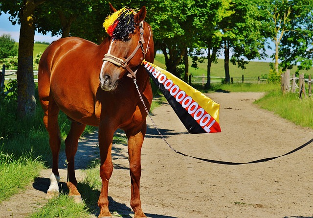 內馬爾憑藉 內馬爾憑藉