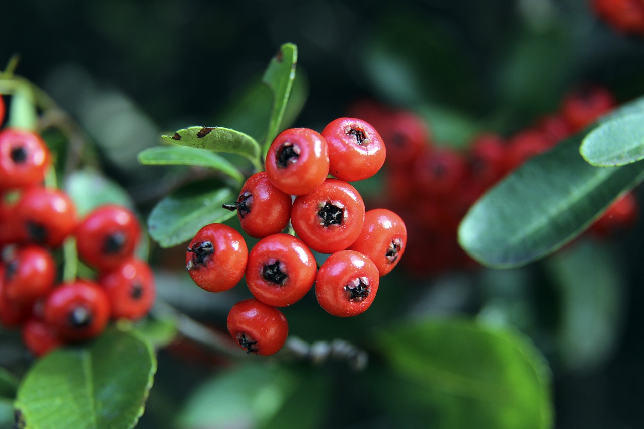 不可忽视的 不可忽视的