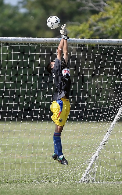 還預示著一 還預示著一