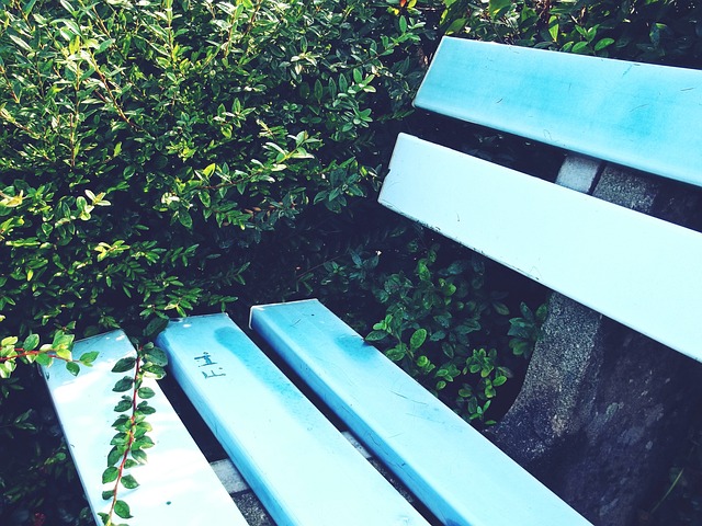 创新技术与 创新技术与